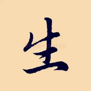 生