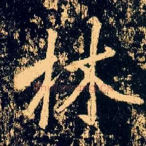 林