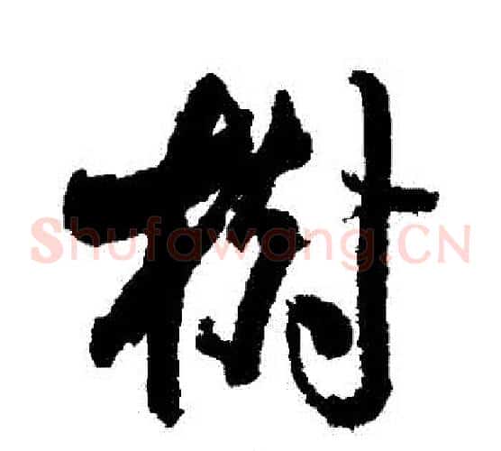 樹