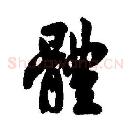 體