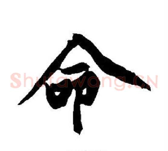 命