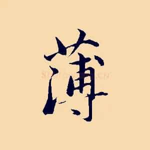 薄