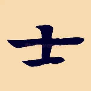 士
