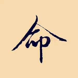 命