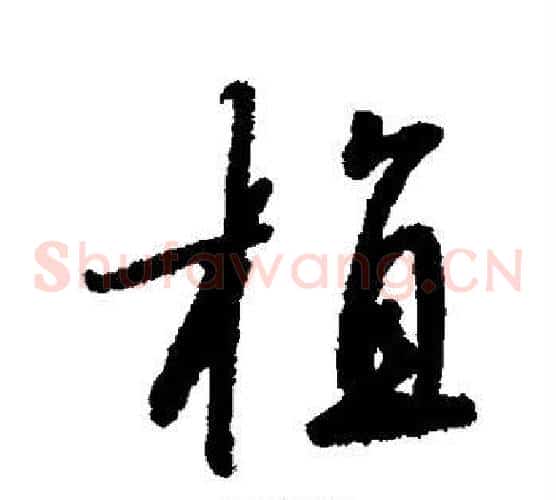 植