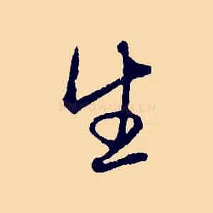 生