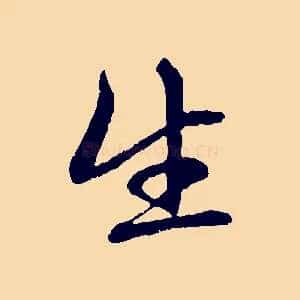 生