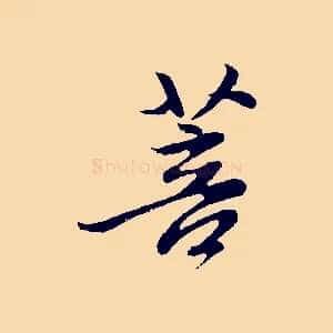 菩