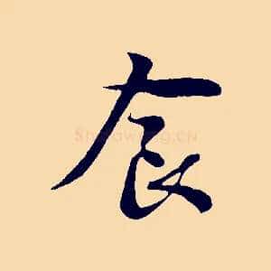 食