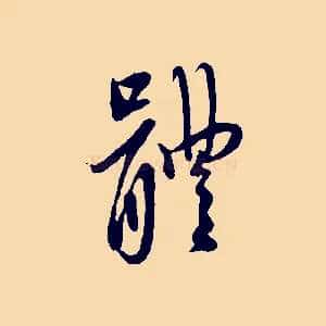 體