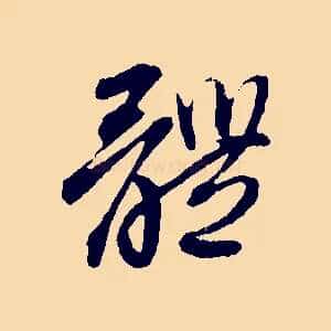 體
