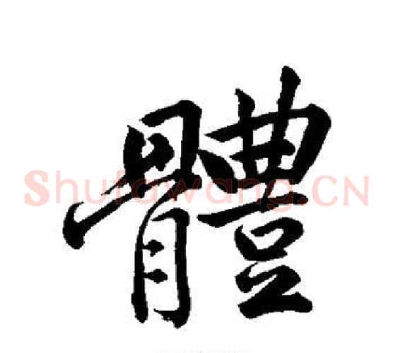体