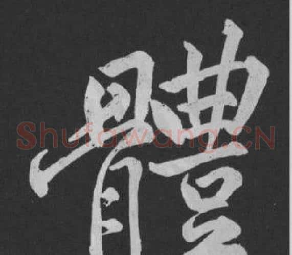 體