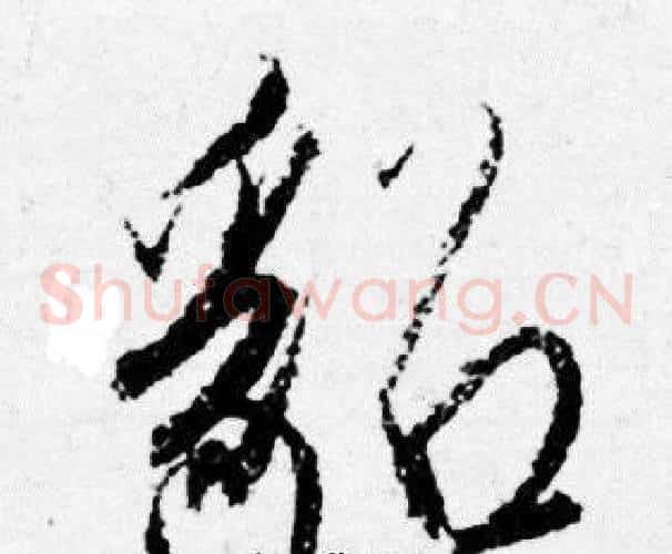 貂