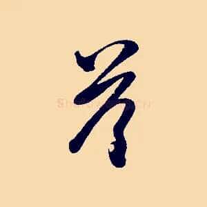 荅