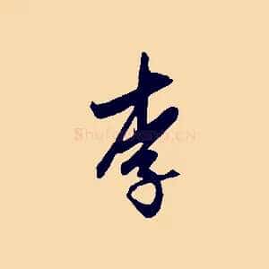 李