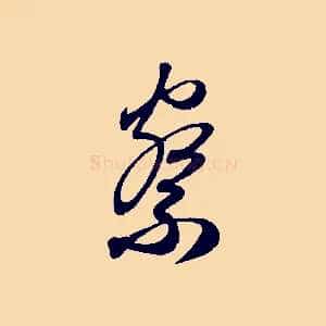 察