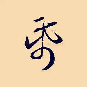 紙