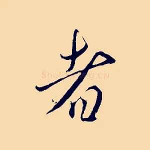 者
