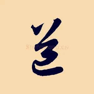 道