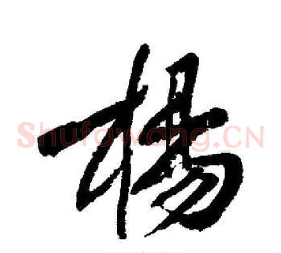 杨