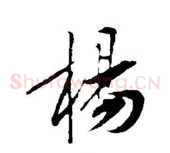 楊