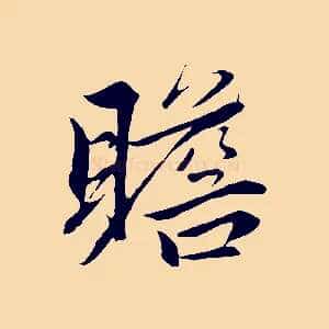 瞻