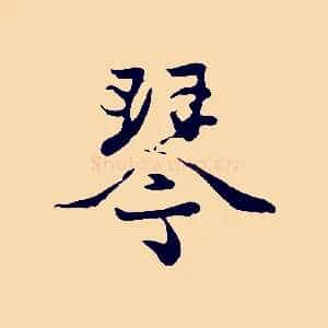 琴