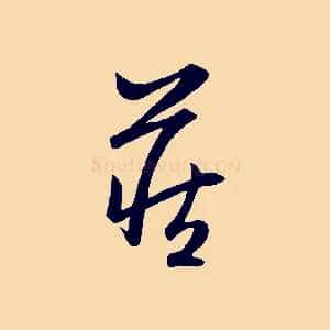 藏