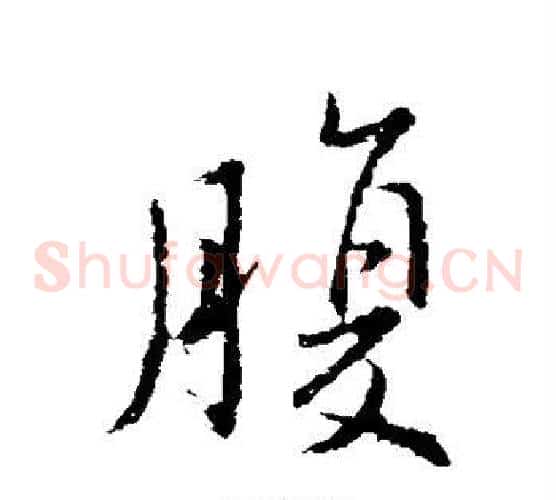 腹