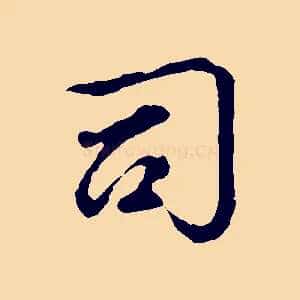 司