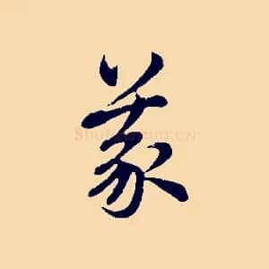 義