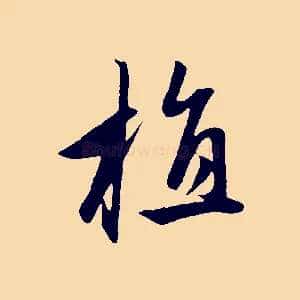 植