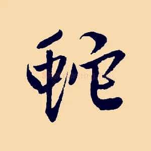 蛇