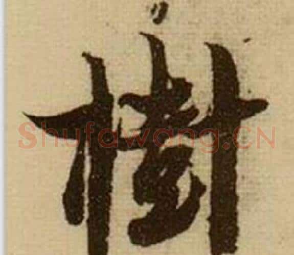 樹