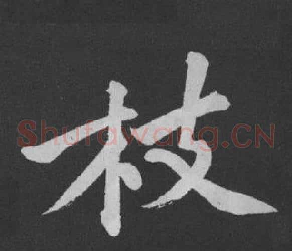 枝