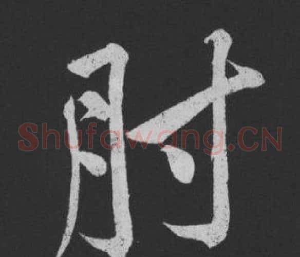 肘