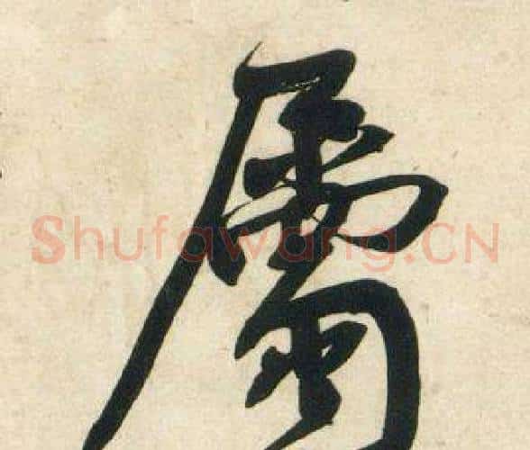 屬
