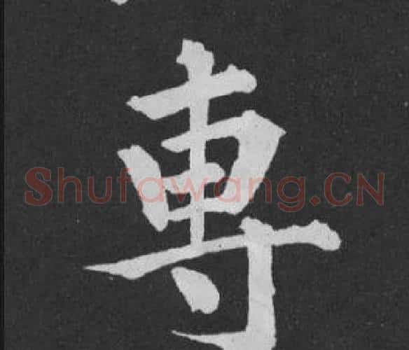 專