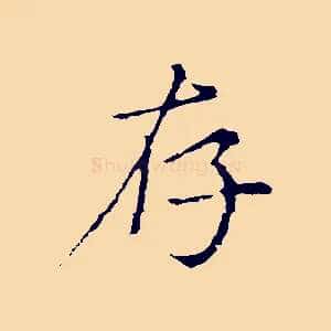 存