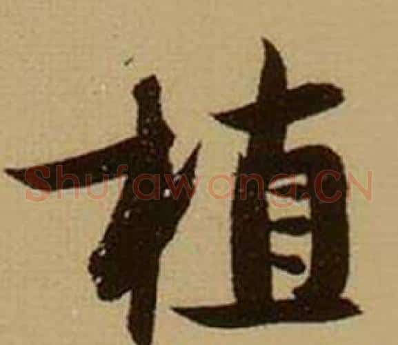 植