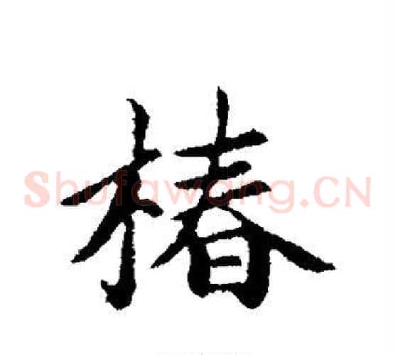 椿