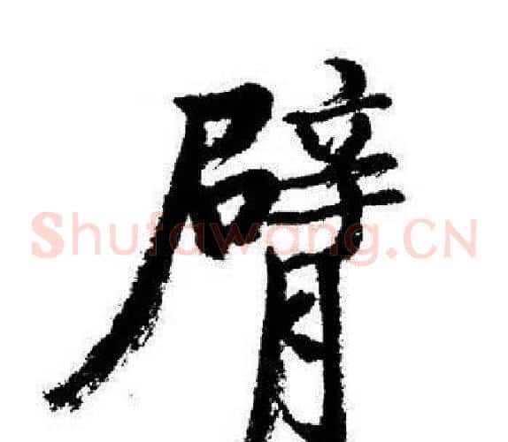 臂