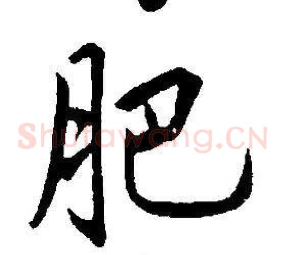 肥