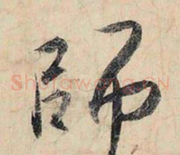 師