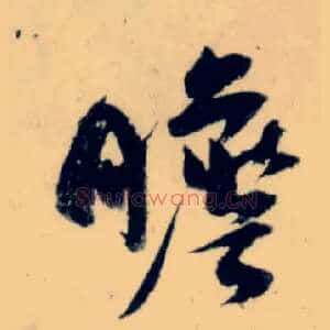 瞻