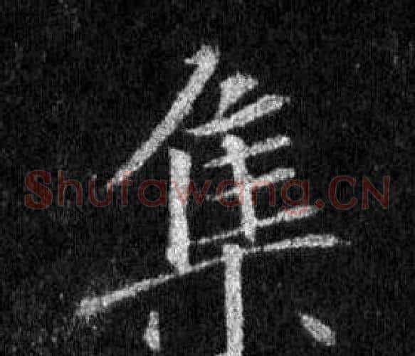 集