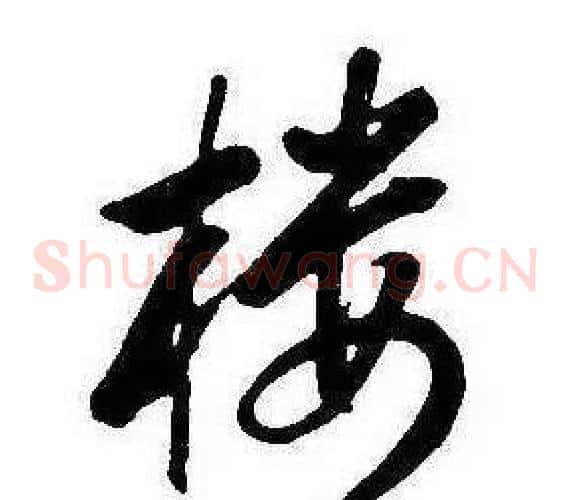 樓