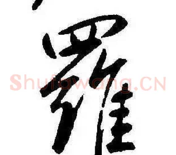 羅