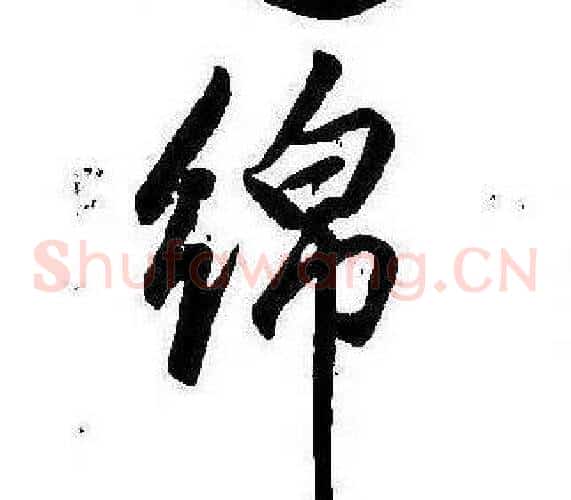 綿